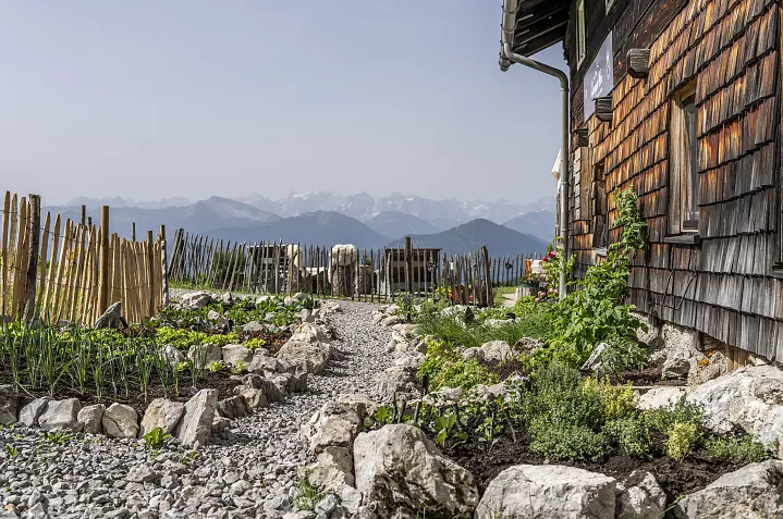 quenger-alm-sommer-11