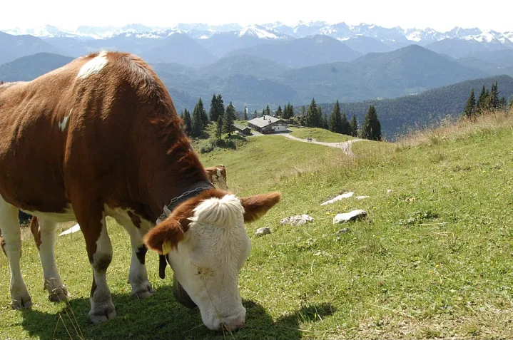 toelzer-huette-sommer