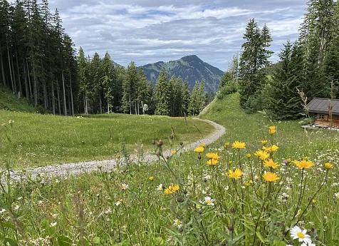 Großer Höhenweg: Talstation Suttenbahn - Suttensee - Stolzenberg